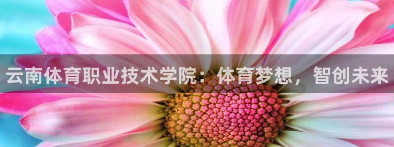 意昂是什么品牌：云南体育职业技术学院：体育梦想，智创未来