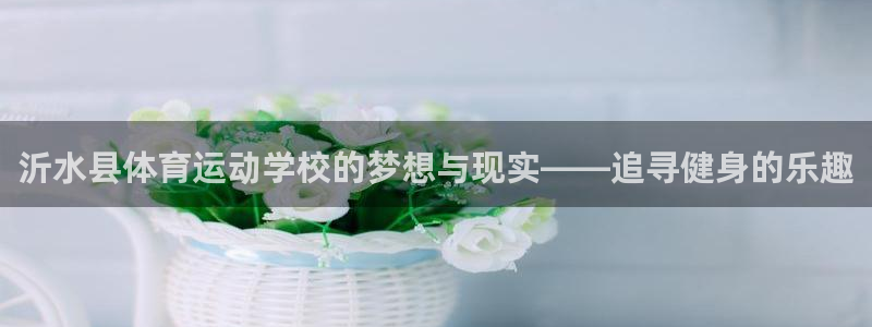 意昂注册：沂水县体育运动学校的梦想与现实——追寻健身的乐趣