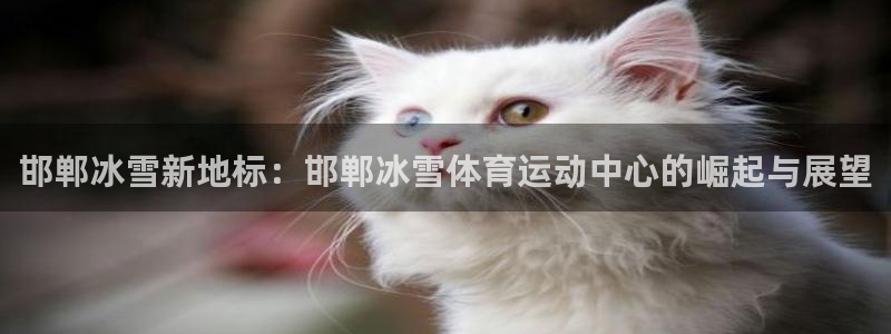 意昂官网注册：邯郸冰雪新地标：邯郸冰雪体育运动中心的崛起与展望