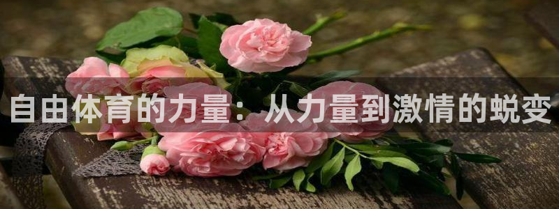 蓝狮在线包怎么样：自由体育的力量：从力量到激情的蜕变