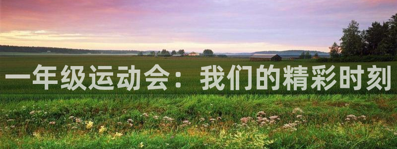 意昂3官网登录：一年级运动会：我们的精彩时刻