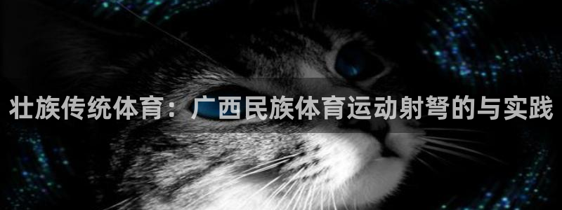 意昂5招商：壮族传统体育：广西民族体育运动射弩的与实践