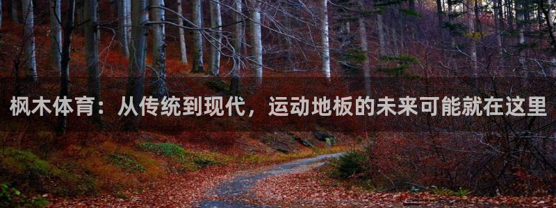 意昂5平台：枫木体育：从传统到现代，运动地板的未来可能就在这里