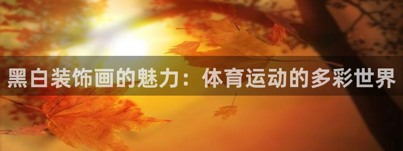 蓝狮在线体育3：黑白装饰画的魅力：体育运动的多彩世界