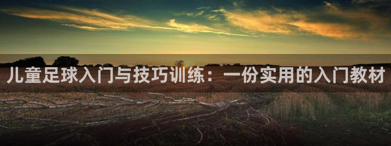 蓝狮在线体育凯捷平台注册：儿童足球入门与技巧训练：一份实用的入门教材