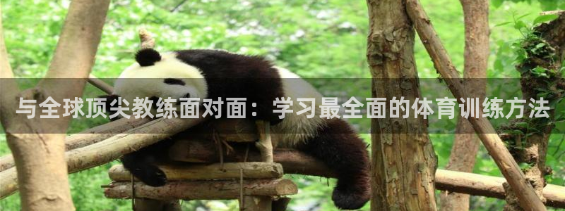 蓝狮在线包怎么样：与全球顶尖教练面对面：学习最全面的体育训练方法
