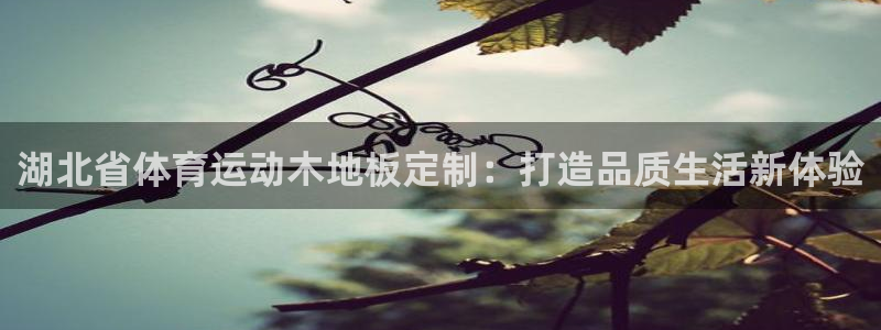 意昂集团：湖北省体育运动木地板定制：打造品质生活新体验