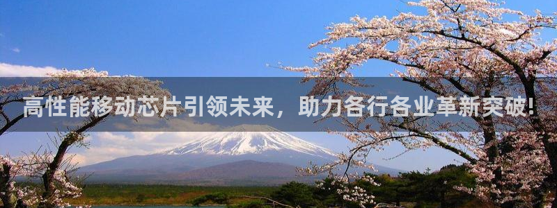 东莞市意昂电子科技有限公司：高性能移动芯片引领未来，助力各行各业革新突破!