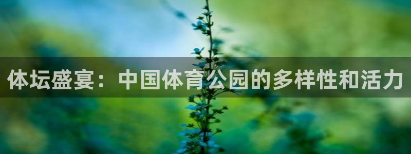 意昂官网：体坛盛宴：中国体育公园的多样性和活力