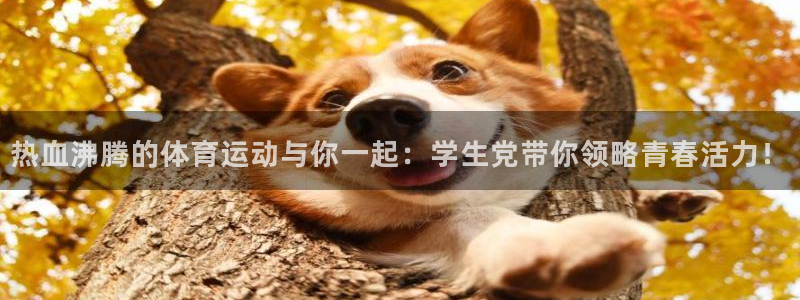蓝狮在线体育凯捷代理注册：热血沸腾的体育运动与你一起：学生党带你领略青春活力！