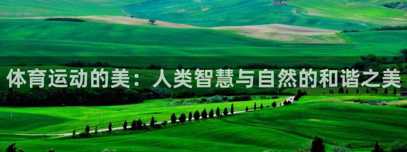 蓝狮在线：体育运动的美：人类智慧与自然的和谐之美