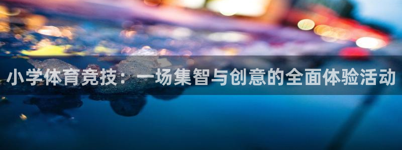 蓝狮在线平台：小学体育竞技：一场集智与创意的全面体验活动